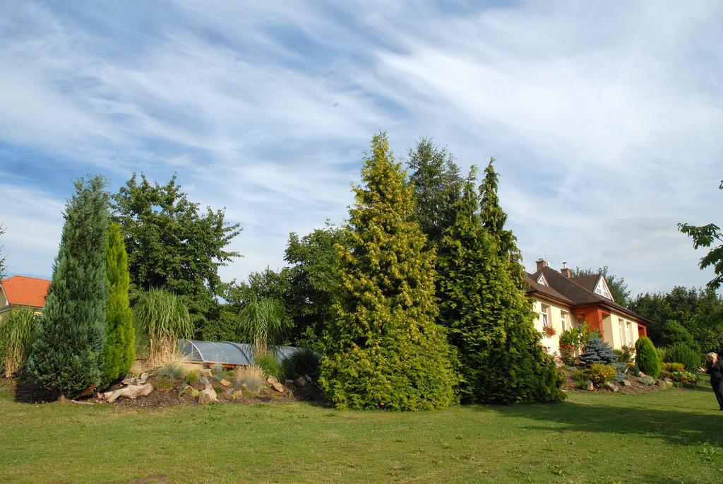 Ubytování Vila Sobotka Exterior foto
